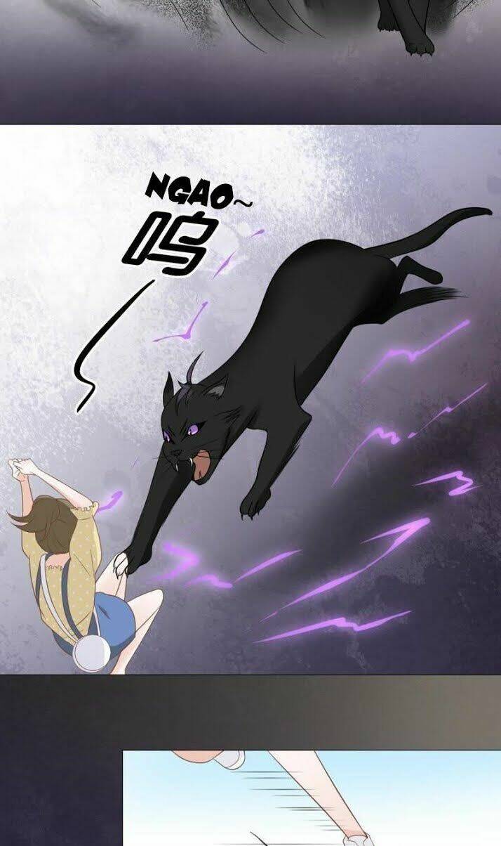 thập nhị hắc miêu chapter 10 20