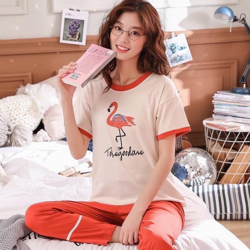 {Mã giảm giá + Hổ trợ Ship} Đồ bộ nữ, thun Cotton 100%, đủ size, 42-70kg, áo phông và quần dài  mã BB02