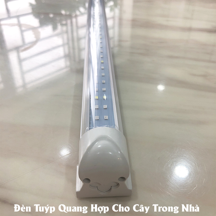 Đèn Quang Hợp Trồng Cây Trong Nhà Green Smart Light 30W (đèn dài 1.2 mét) được ứng dụng rộng rãi như trồng rau sạch tại nhà, trồng cây cảnh trong nhà, cây văn phòng, trồng rau thủy canh, các mô hình nuôi cây mô và cây con