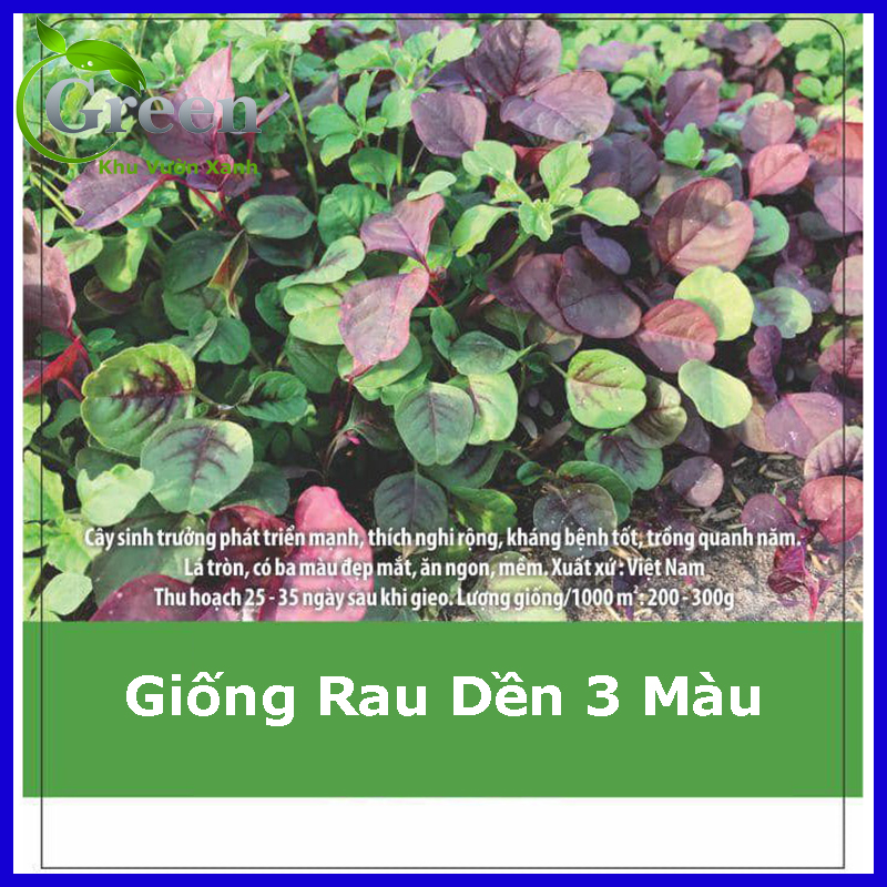 Hạt Giống Rau Dền Ba Màu 20 Gam