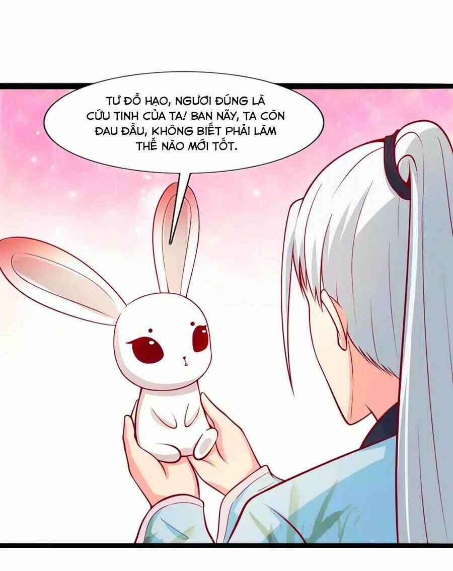 thỏ yêu tiểu vương phi chapter 77 27