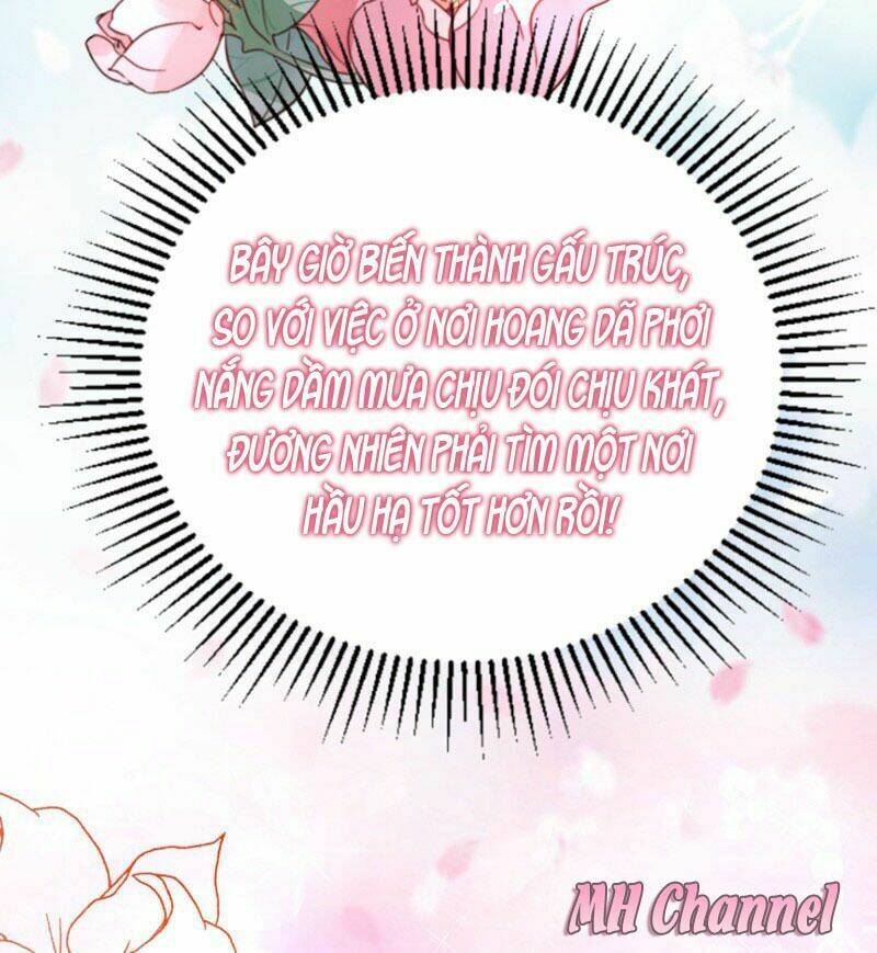 thiên thần gấu trúc muốn được ôm chapter 5 18