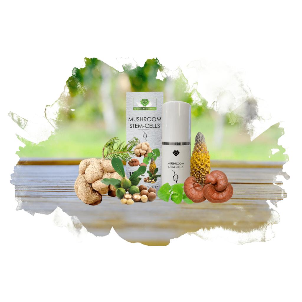 MUSHROOM STEM-CELLS (15ml)