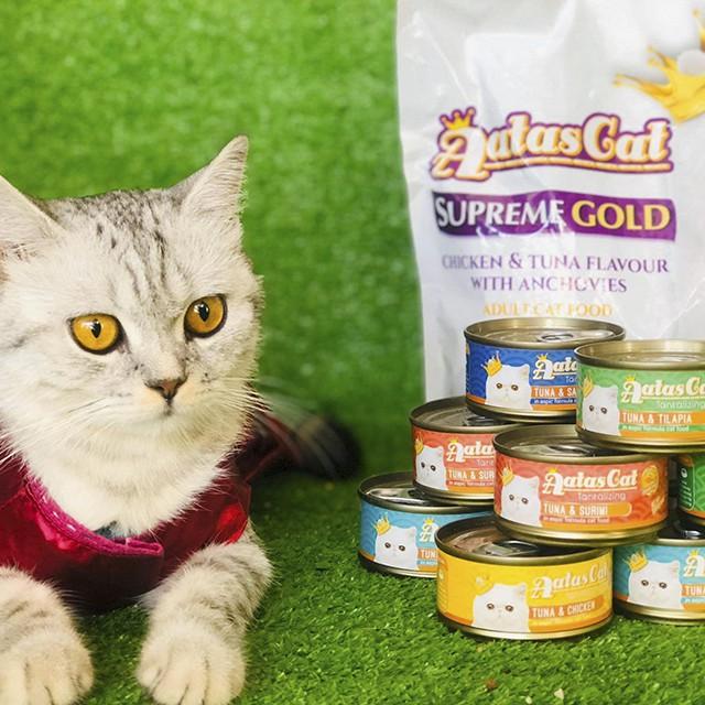 Thức Ăn Cho Mèo Con Aatas Cat Bao 1,2kg Vị Cá Hồi, Vị Cá Ngừ, Vị Gà Topping Cá Cơm Sấy Khô
