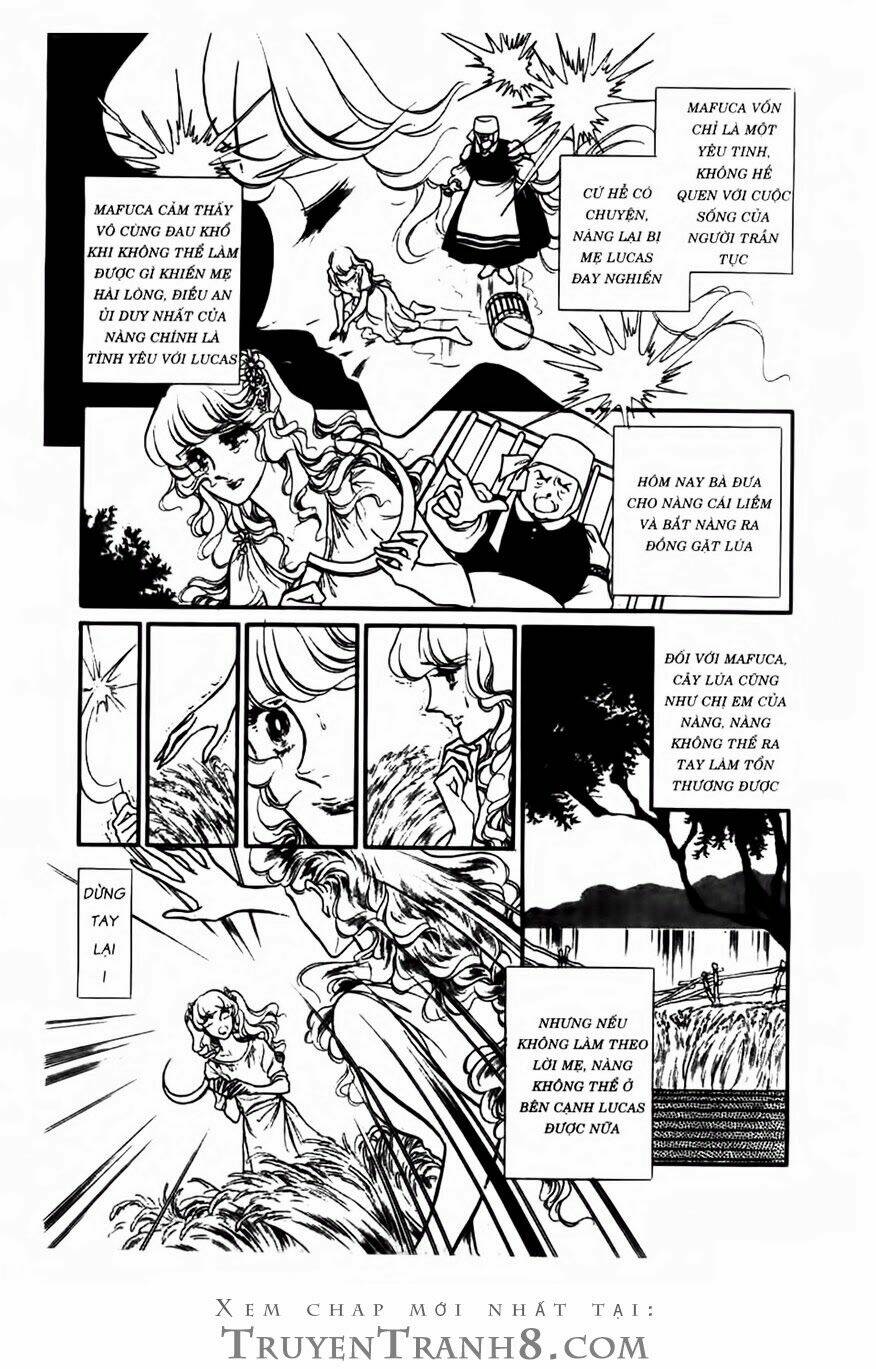 swan - vũ khúc thiên nga chapter 70 21