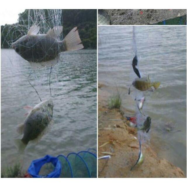 Lưỡi câu cá dạng lưới đa năng 2020