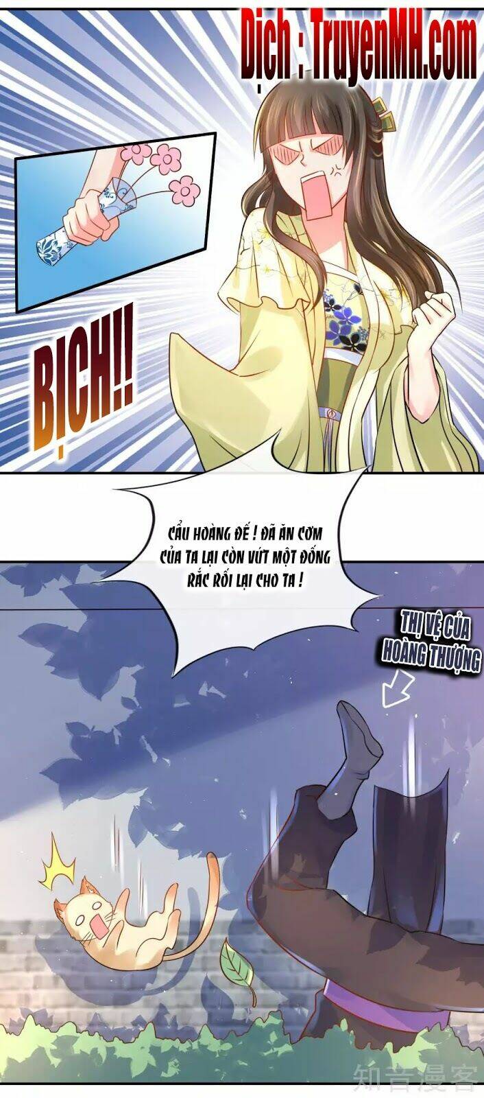 lãnh cung phế hậu muốn nghịch thiên chapter 44 5