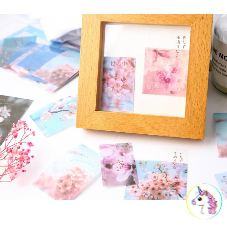 Set 40 sticker vintage - ảnh chụp phong cảnh deco sticker
