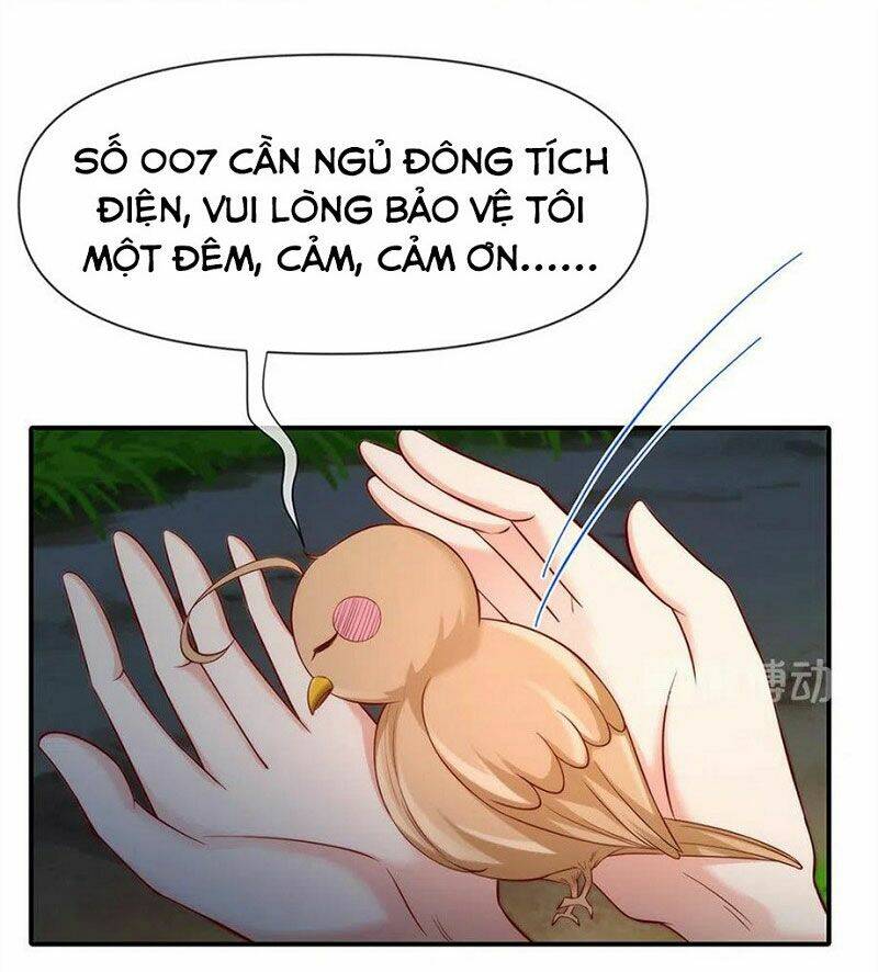 nam thần truy thê chỉ nam chapter 108.1 23