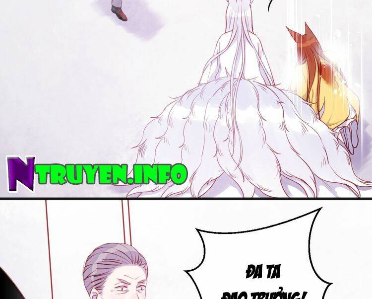 lượm được 1 tiểu hồ ly chapter 74 45