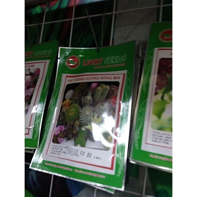 Hạt Giống Xương Rồng Mix Nhiều Loại - Hạt Giống F1