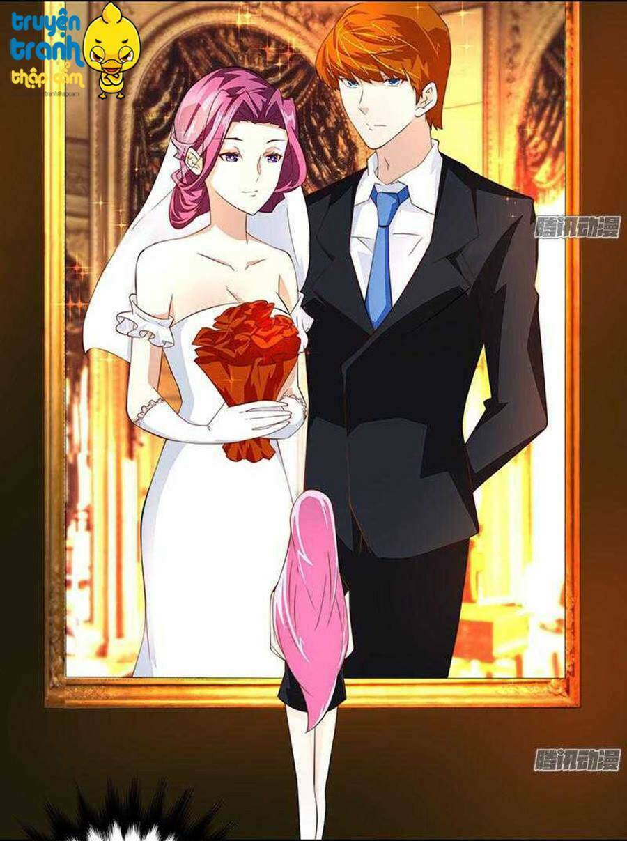 cường sủng hào môn tiểu manh thê chapter 23 28