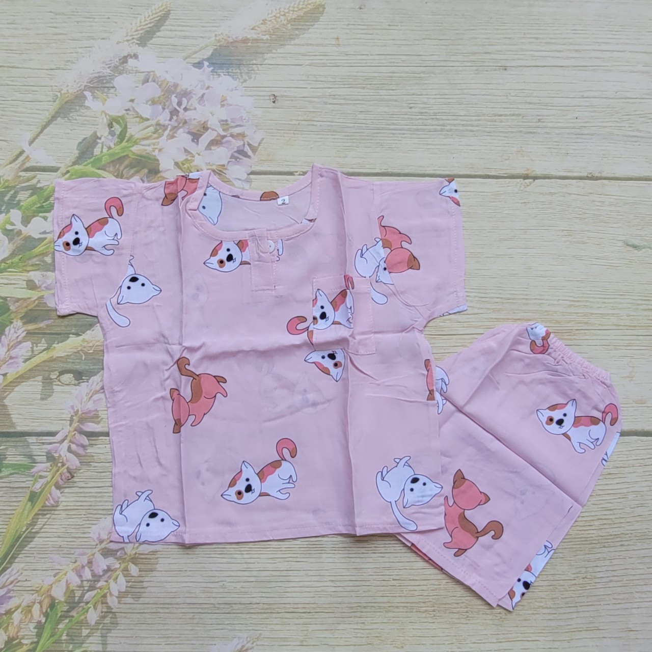 Đồ bộ tole lanh bé trai size 2 . 5 bộ giá sỉ