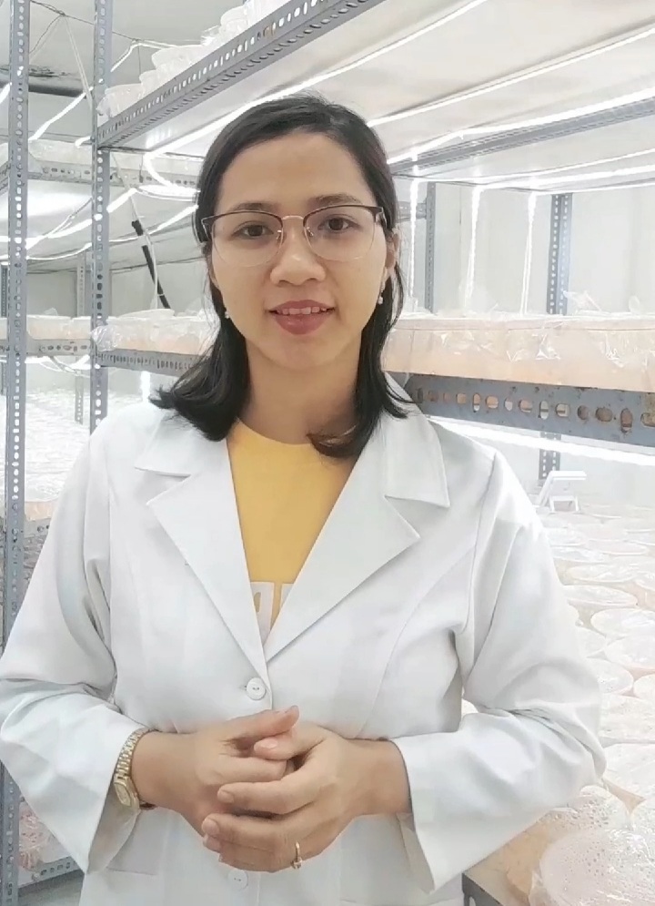 NẤM ĐÔNG TRÙNG HẠ THẢO AN GIA SẤY THĂNG HOA