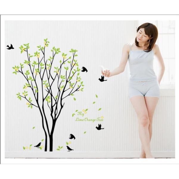 Decal trang trí tường - Cây nhánh mỏng Chim Đen A.H