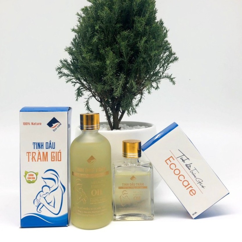 Tinh dầu Tràm Gió chống cảm cúm, kháng khuẩn thương hiệu Ecocare )