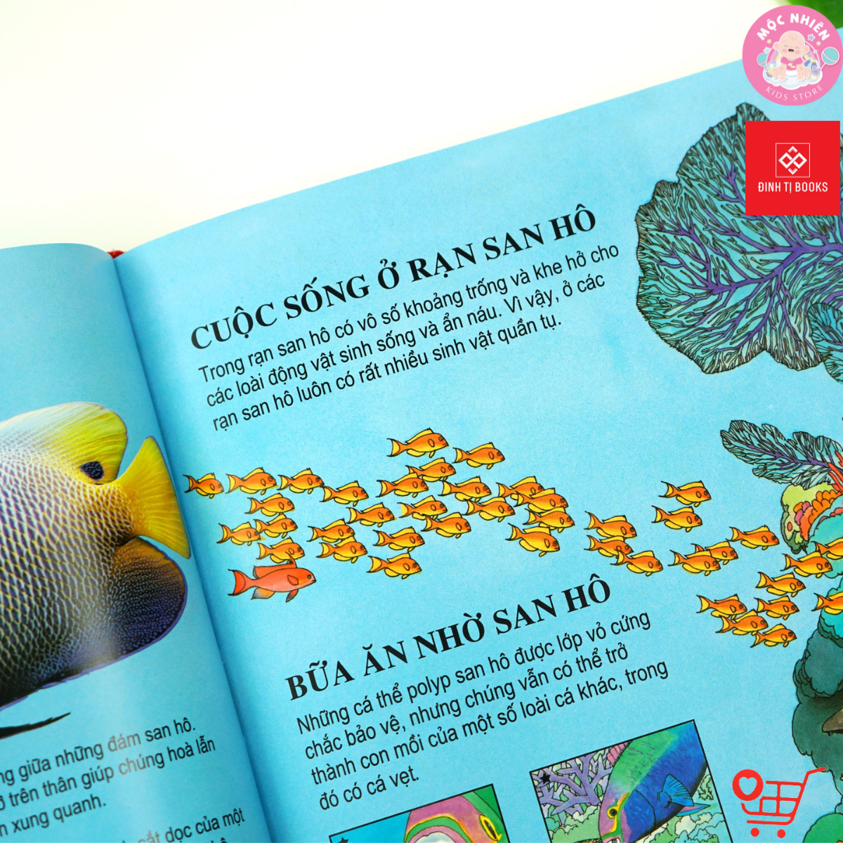 Sách thiếu nhi - Bách khoa tri thức dành cho trẻ em  - Tái bản 2022 - Đinh Tị Books