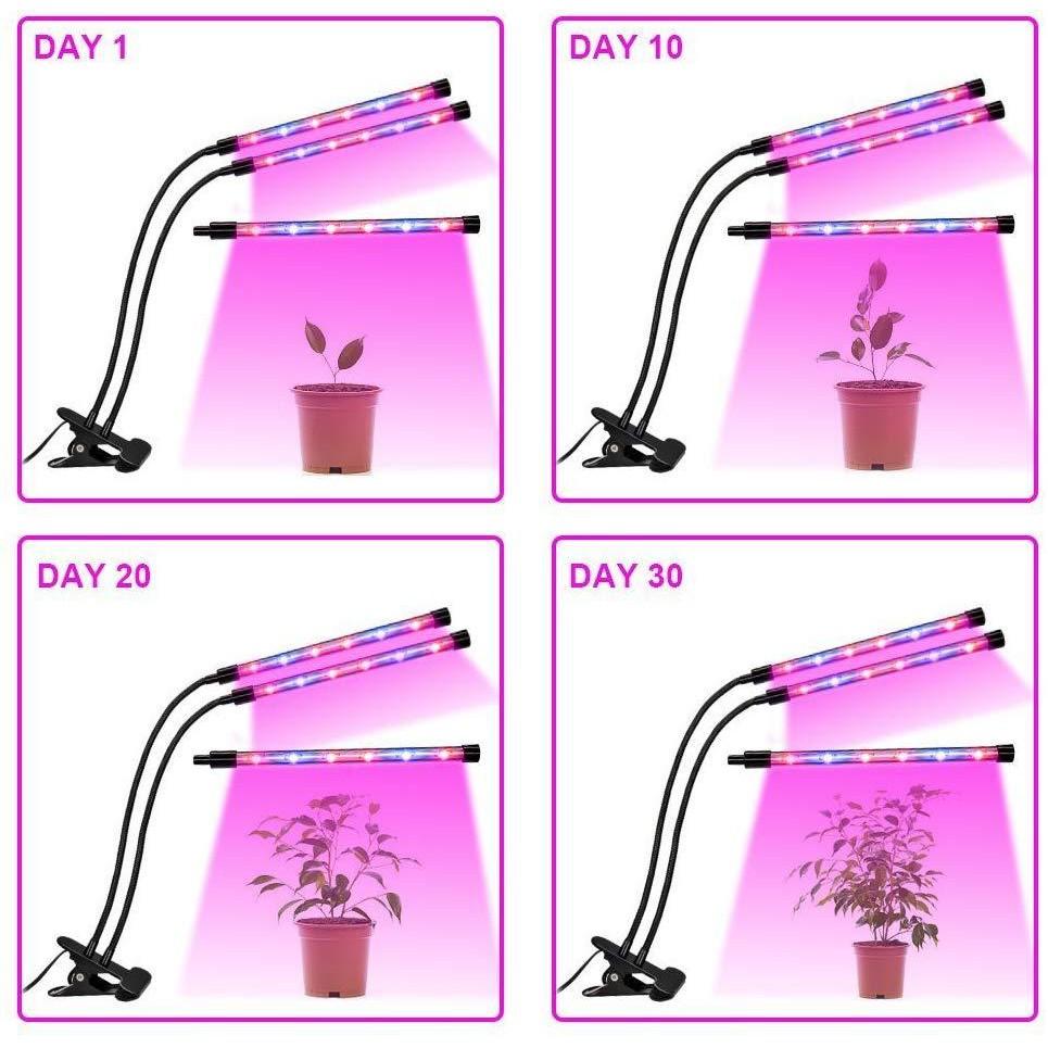 LED trồng cây 30W kẹp chân 3 nhánh hẹn giờ USB
