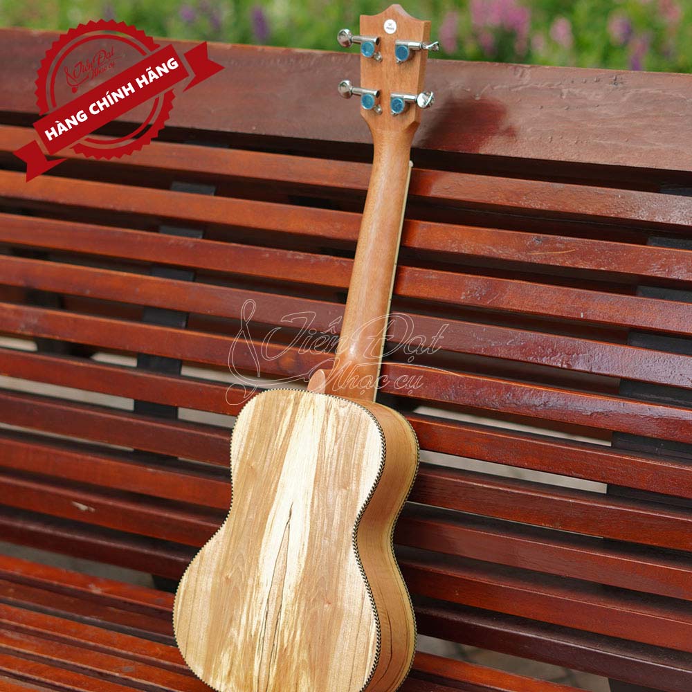 Đàn Ukulele Concert Chard U-24I, Mặt Đàn Gỗ Vân Mộc - Hàng Chính Hãng