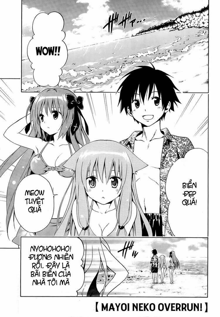 mayoi neko overrun! chapter 5 4
