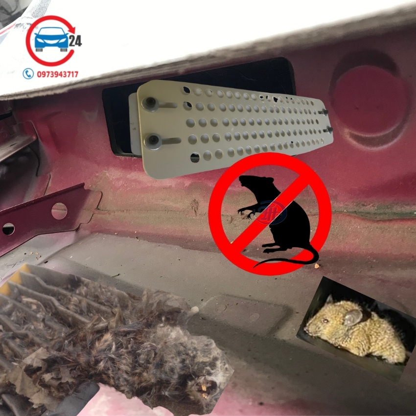 Lưới chống chuột ô tô Mitsubishi Outlander, tấm chắn chuột khoang lái Outlander bền đẹp hiệu quả
