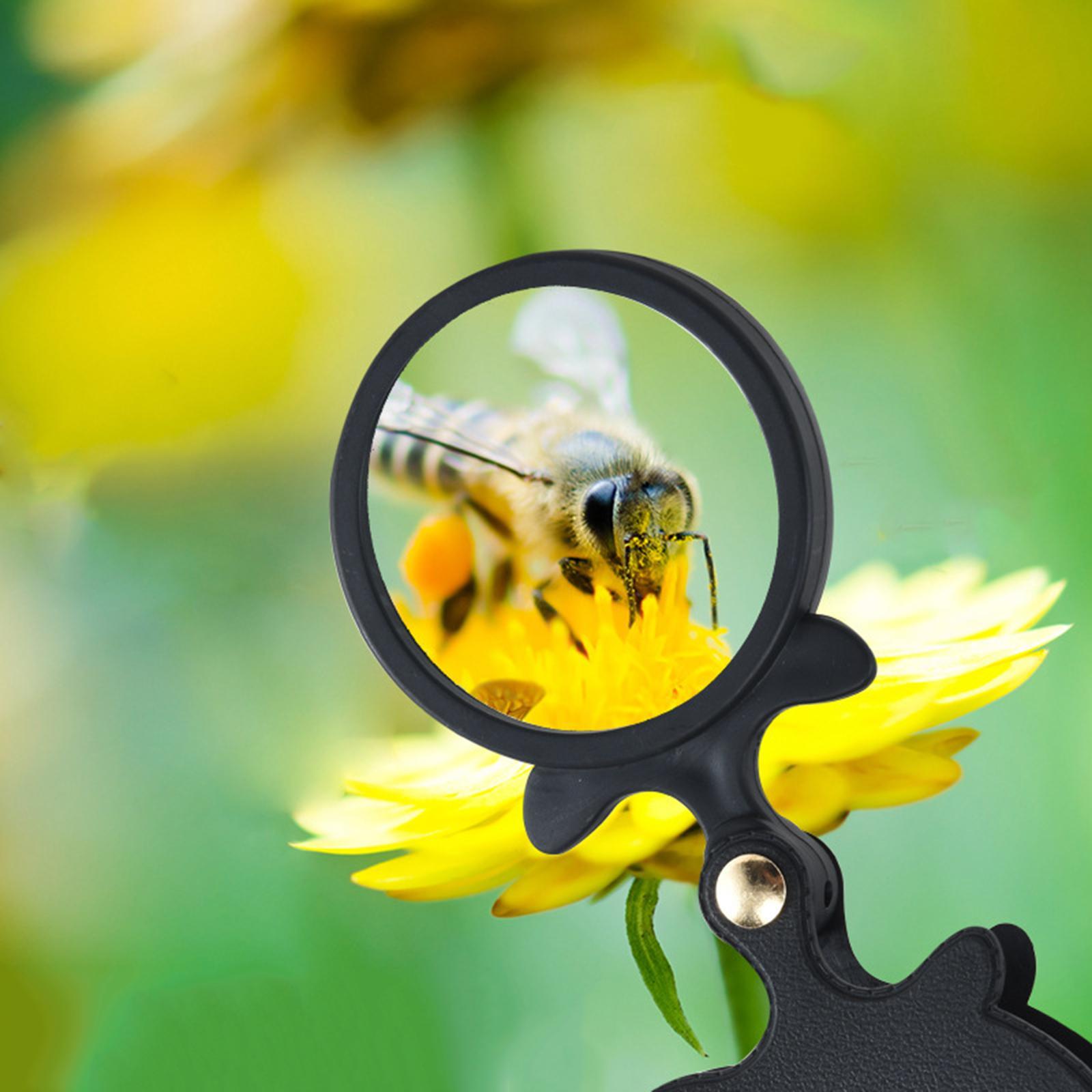 64mm Portable Mini Handheld Reading Magnifying Glass Tool
