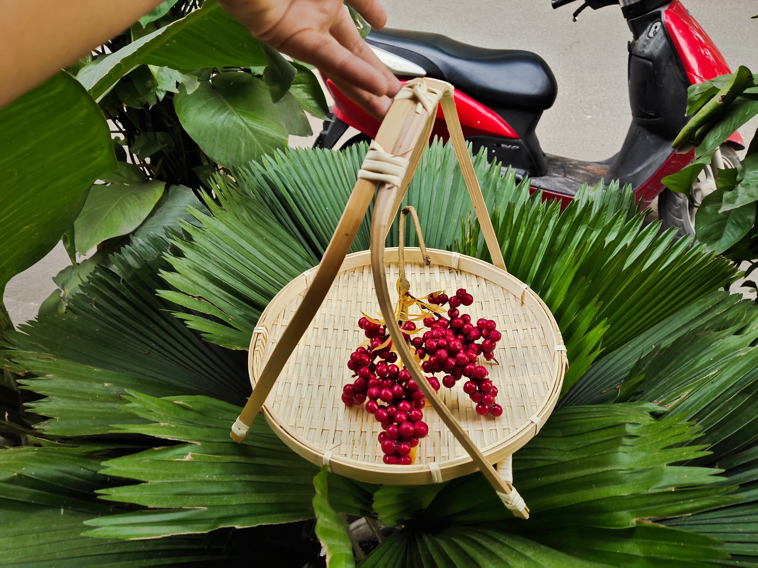 Kệ mẹt trang trí, kệ đựng thức ăn, kệ mẹt 1 tầng