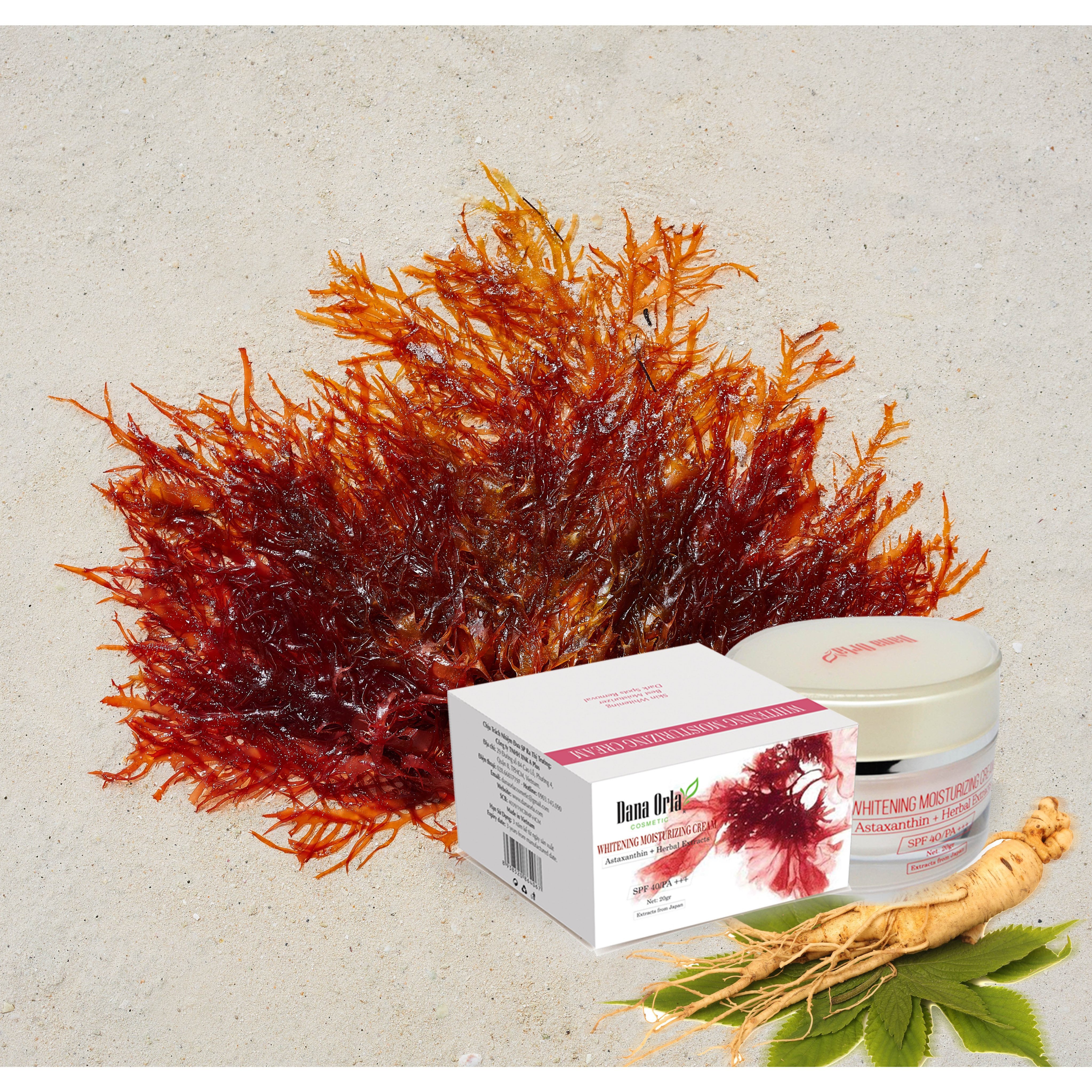 Kem Chiết Xuất Tảo Đỏ, Nhân Sâm ,SPF 40/PA +++ Dana Orla Dưỡng Trắng, Dưỡng Ẩm, Ngừa Lão Hóa, Giảm Nhăn Da 20 gram