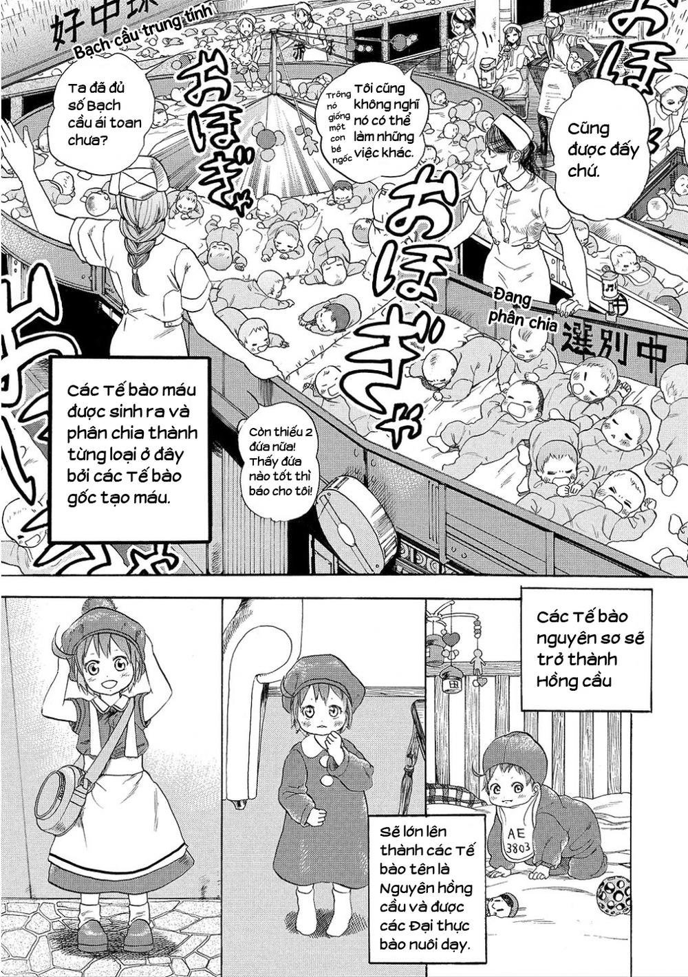 hataraku saibou! chapter 7 5