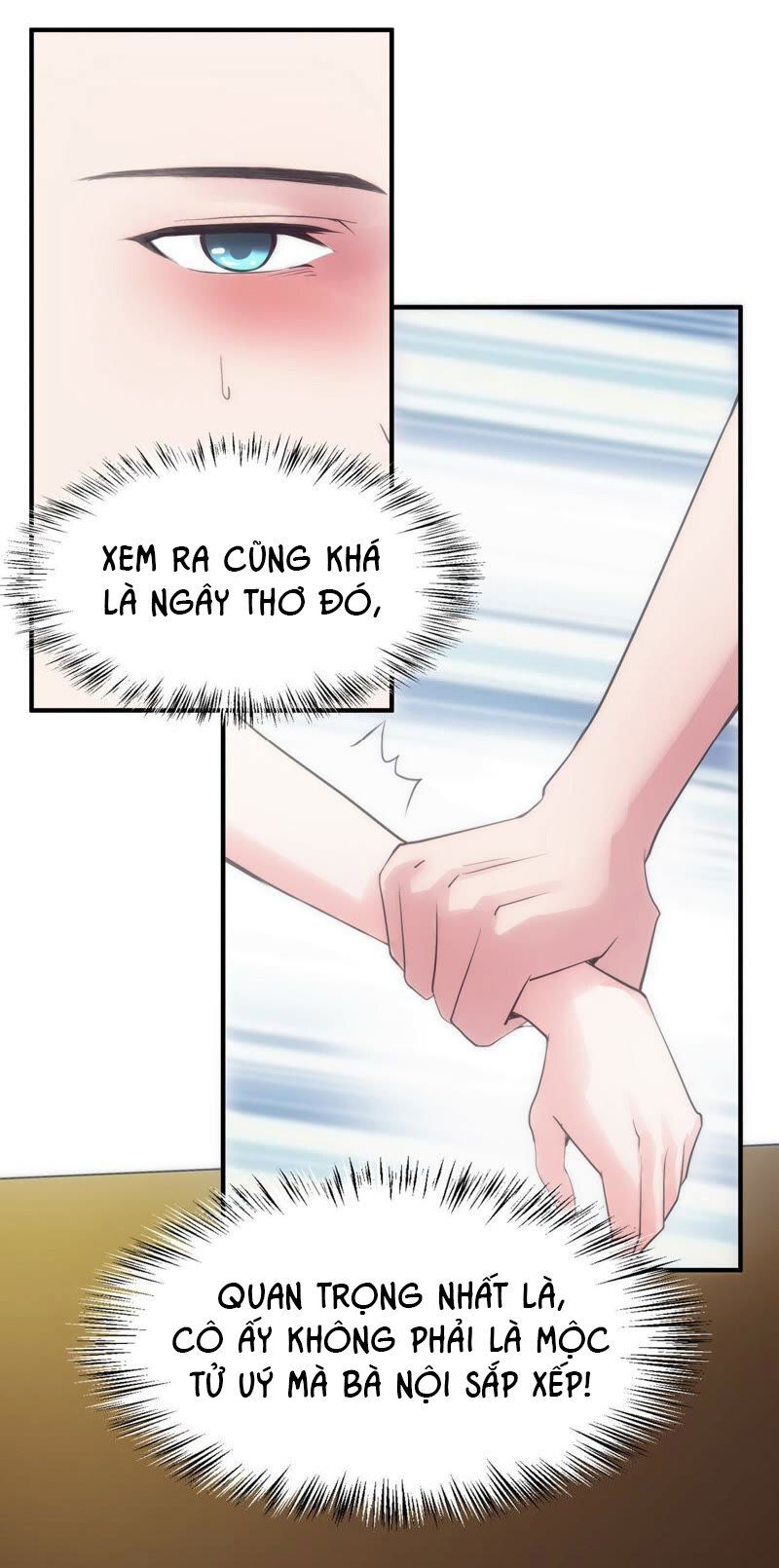 chiến lược lãng mạn của thịnh thiếu chapter 2 31