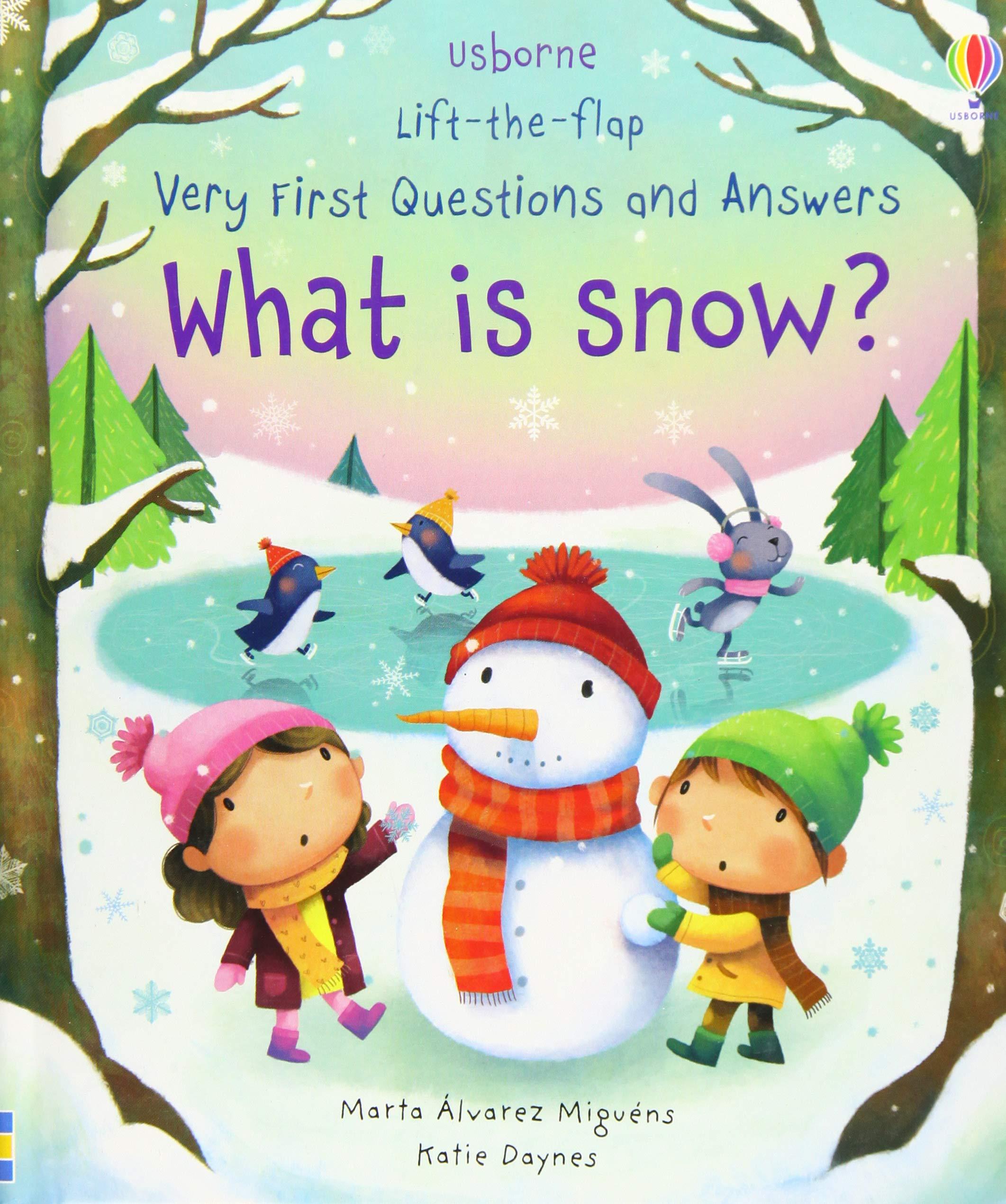 Lift-The-Flap Very First Questions And Answers: What Is Snow?