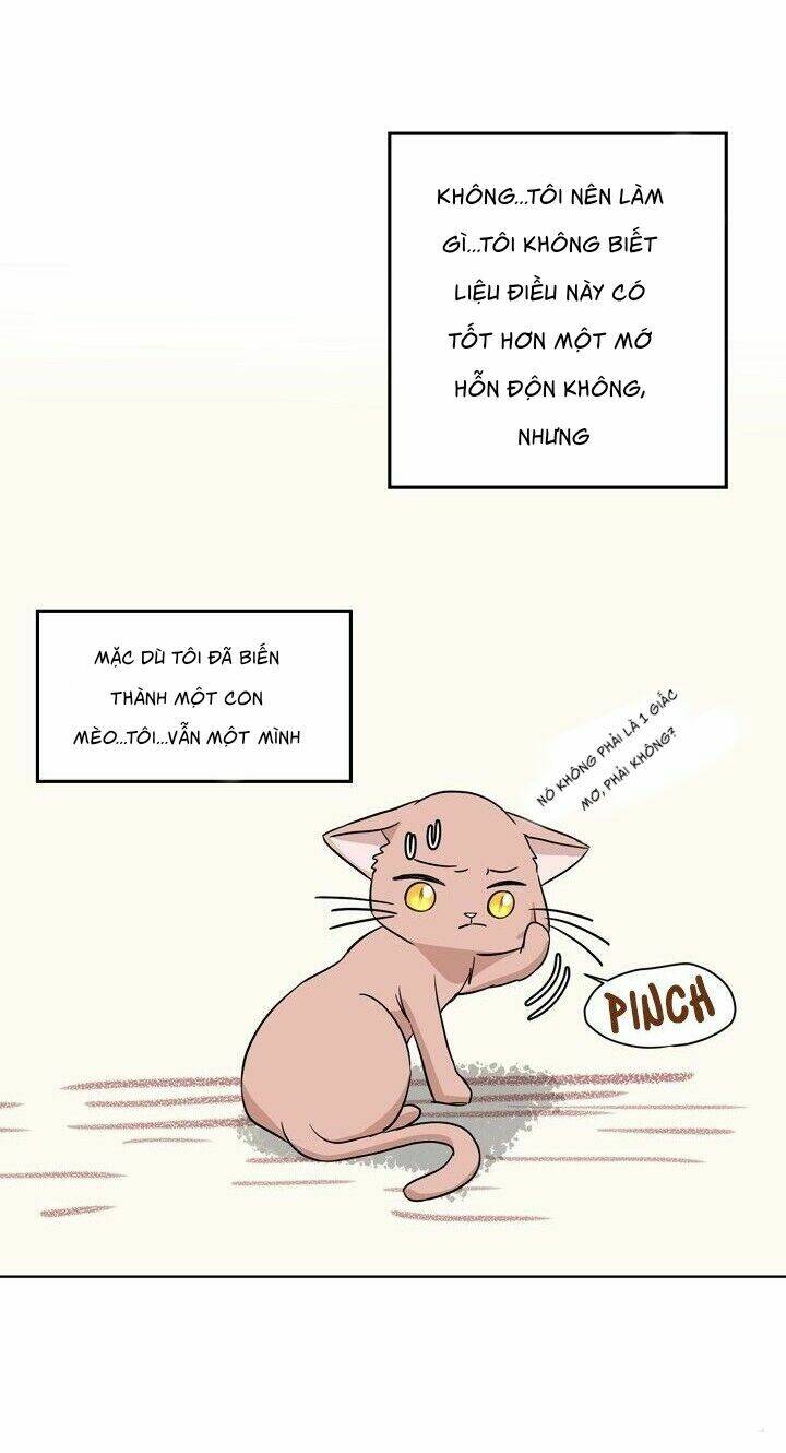 một cuộc sống kỳ lạ chapter 1 47