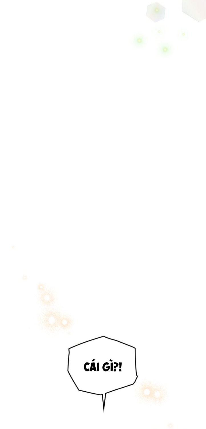 hải tặc thượng lưu chapter 29 46