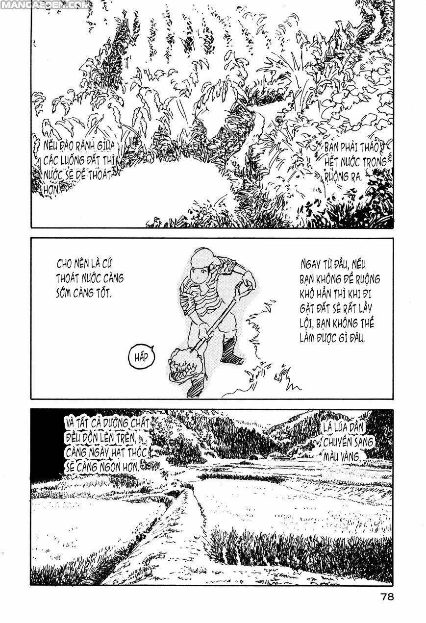 little forest chapter 25 2