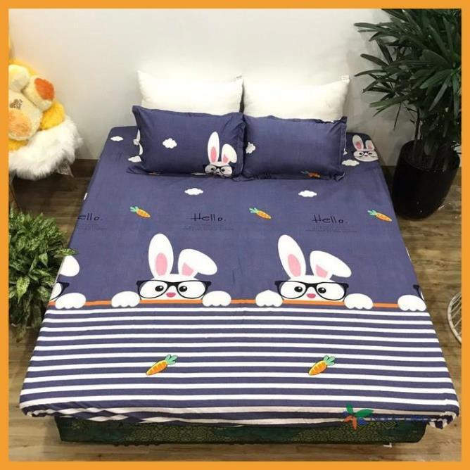 Bộ Chăn Ga Gối Poly Cotton Thỏ trắng