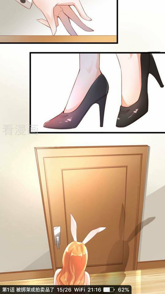 người vợ bí ẩn của tổng tài chapter 1 18