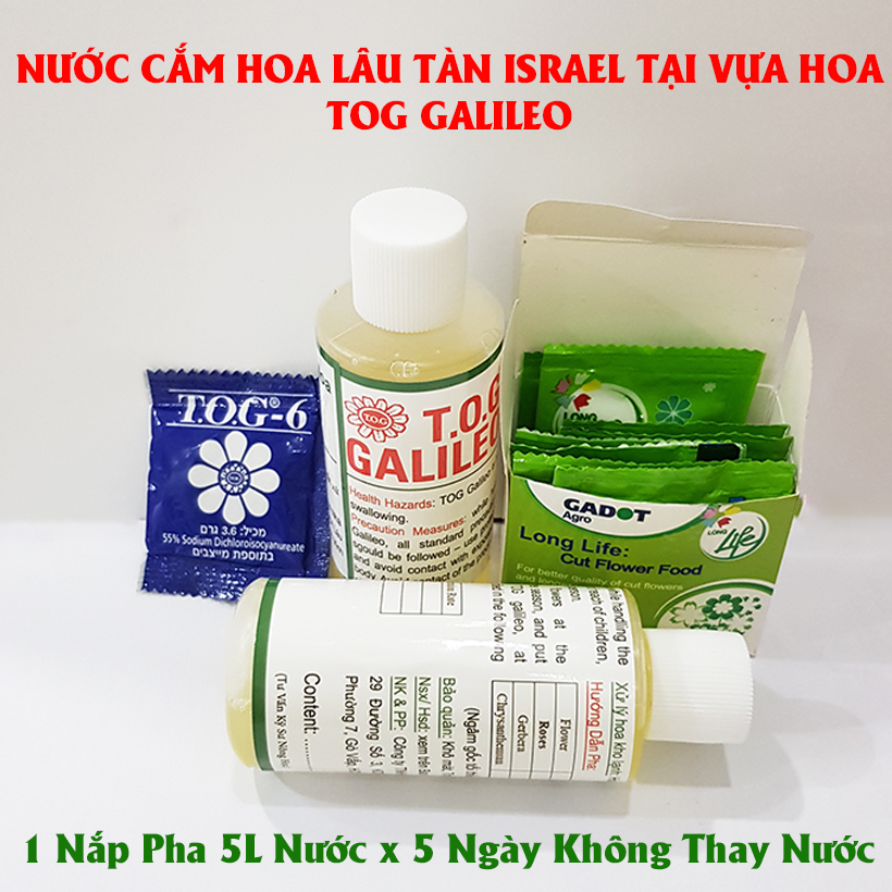Nước Cắm Hoa Lâu Tàn Tại Vựa Bán Hoa Tươi Nhập Khẩu Israel TOG Galileo Giúp Kiềm Hoa Không Nở Tại Vựa Và Không Thay Nước Trong Xô 5 Ngày Liên Tục