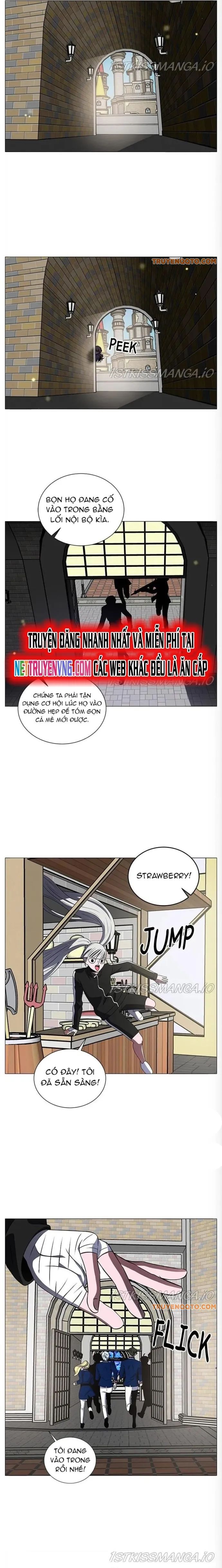 no scope chapter 176 8