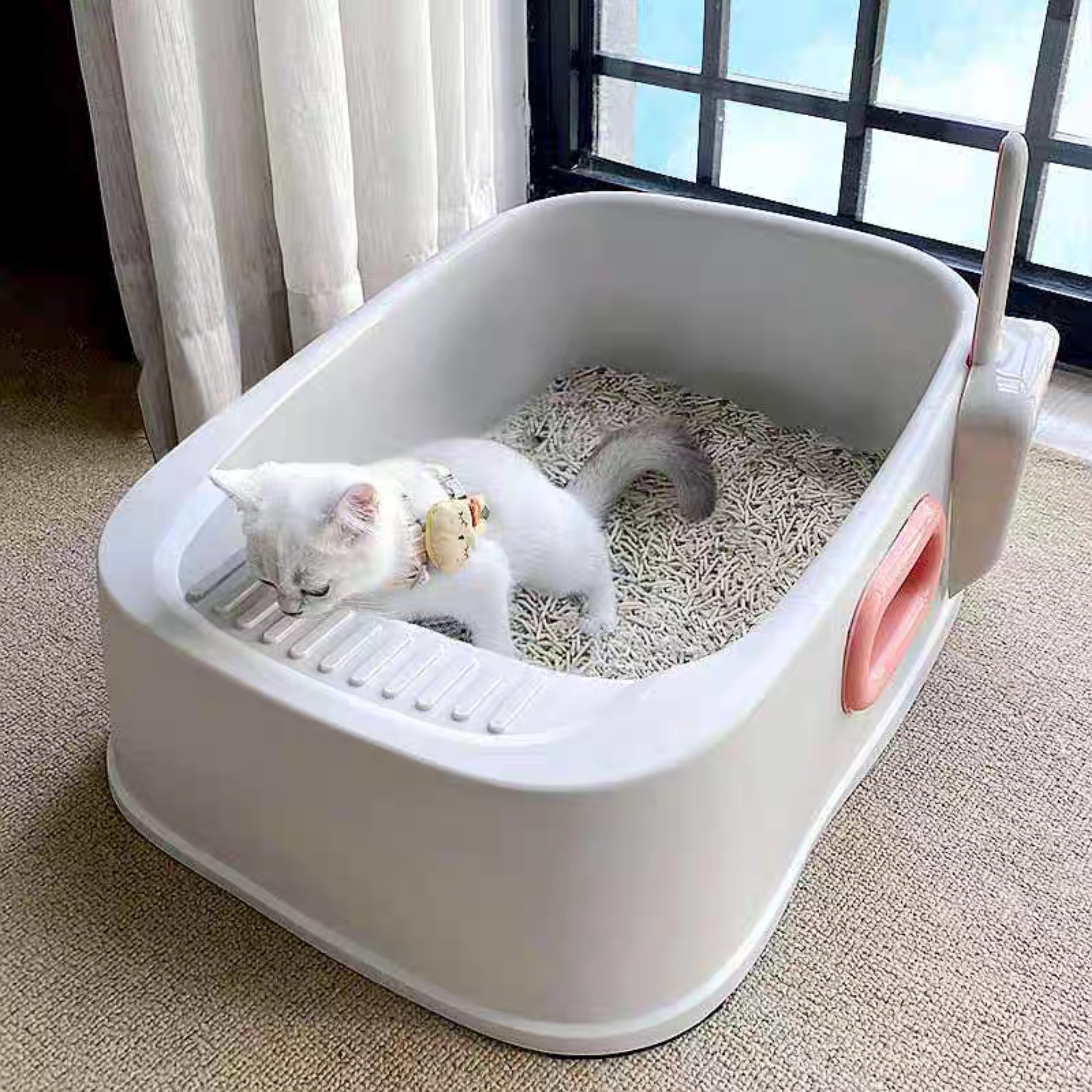 Khay Vệ Sinh, Thau Cát Vệ Sinh cho Mèo Hình Vuông, Có tay cầm hai bên