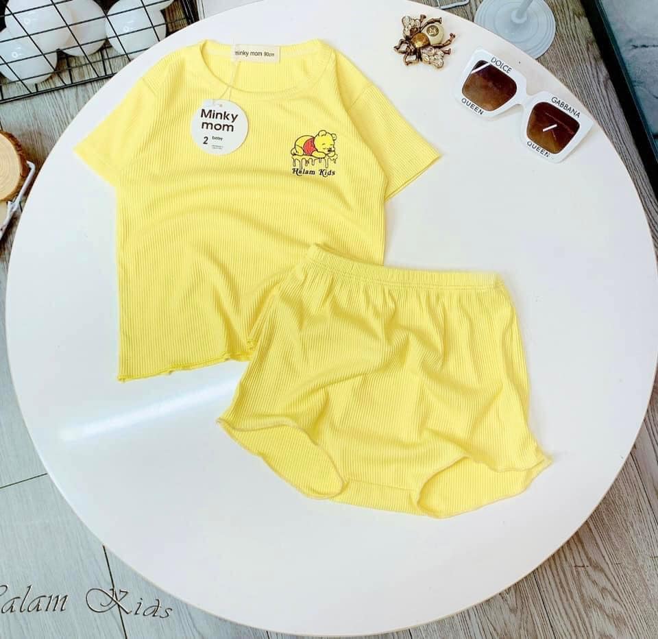 Combo 2 bộ tăm lạnh Minkymom hàng Quảng Châu cao cấp cho bé