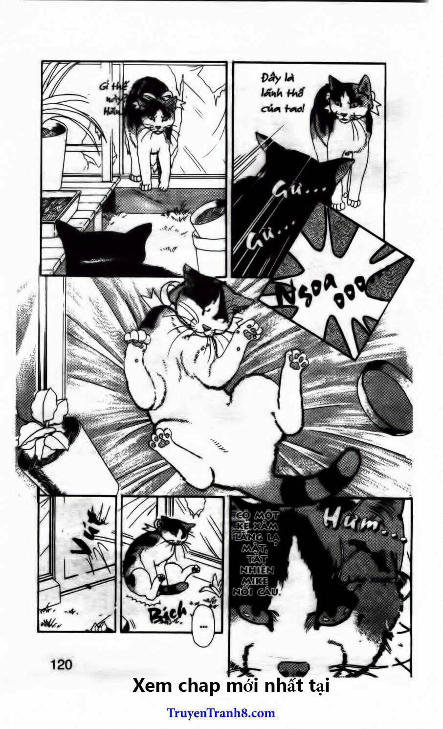 doubutsu no oishasan chapter 50 5