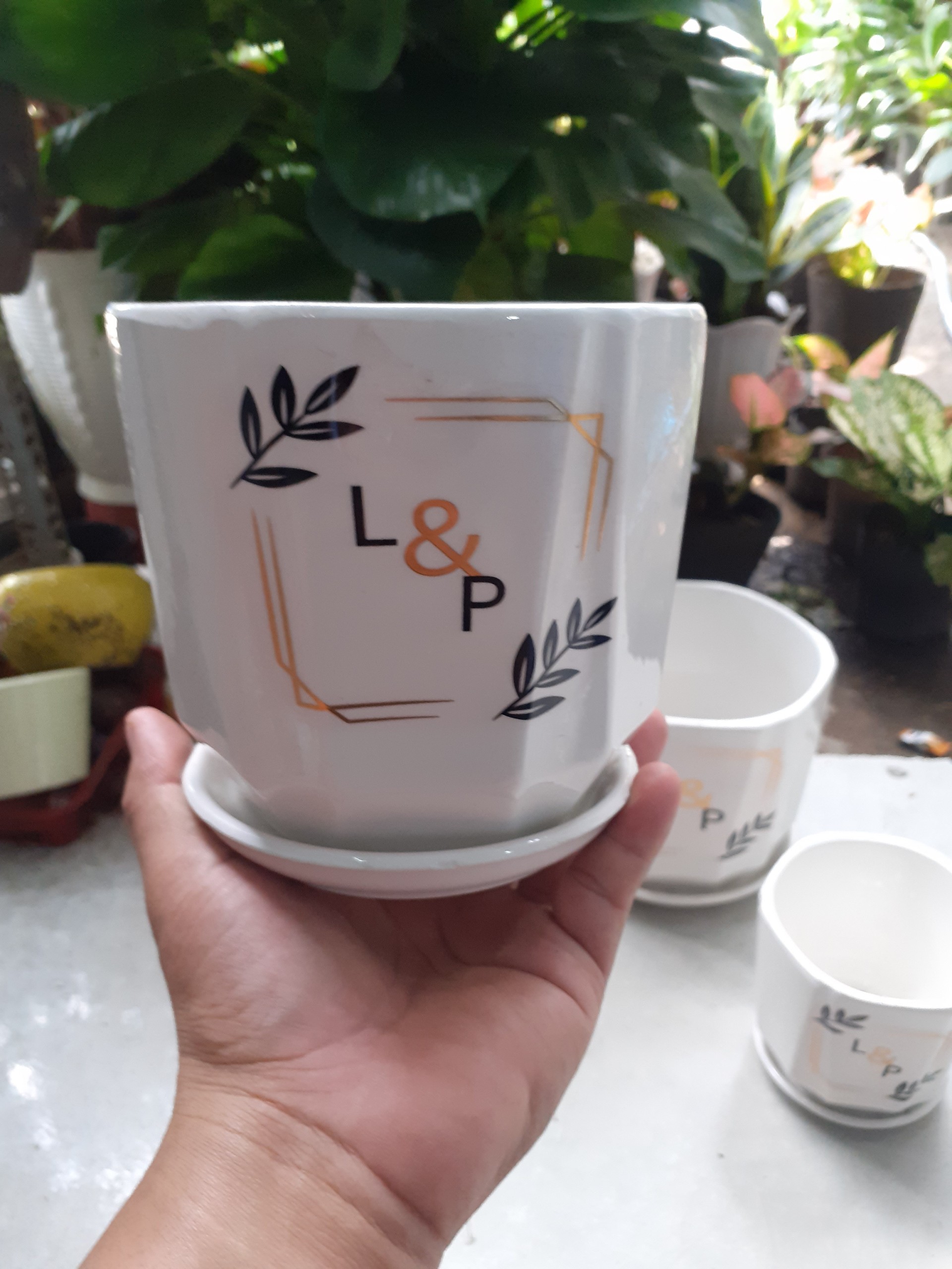 BỘ 3 Chậu kèm dĩa LỤC GIÁC TIKER L&P.