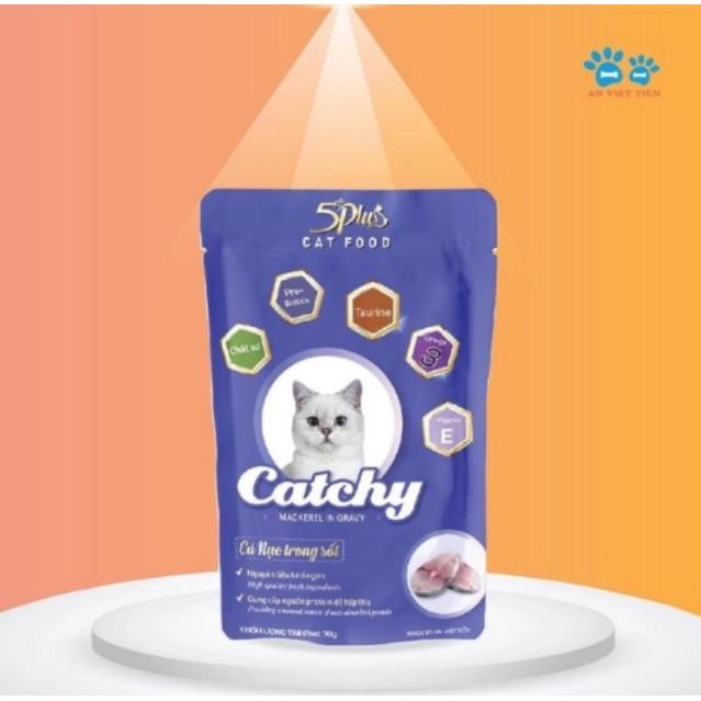 Combo 10 và 20 gói Pate Catchy 5plus dành cho mèo cưng dạng gói 70g nhiều vị hàng việt nam chất lượng cao