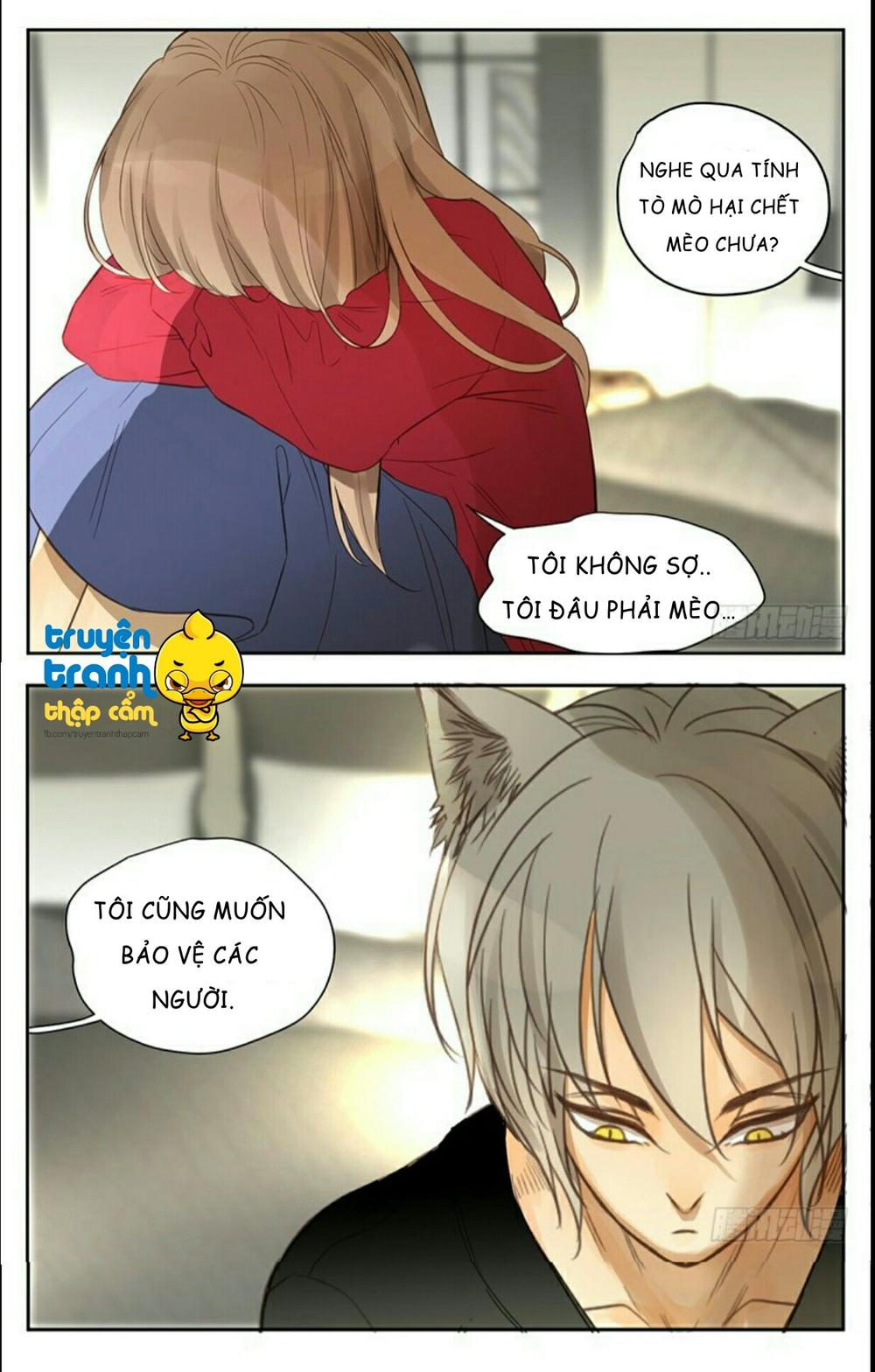 cứu mạng ! loài mèo thống trị thế giới rồi ! chapter 31 10