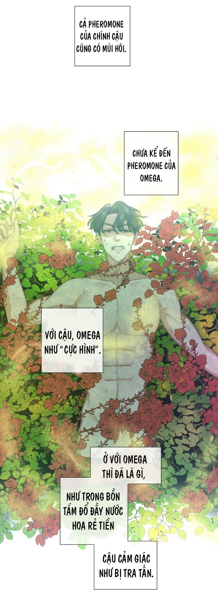 bí mật của omega k chapter 10 34