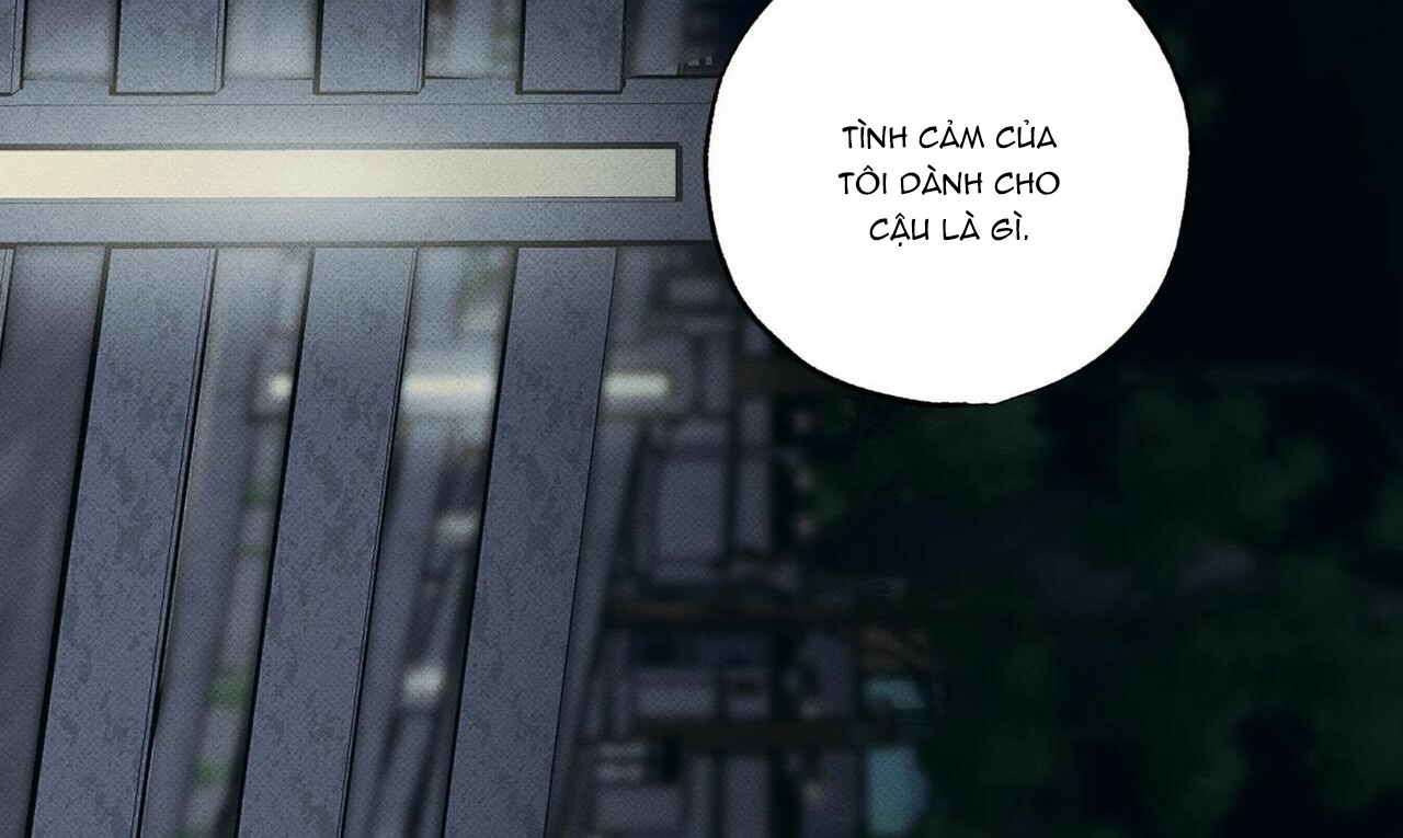 chàng giao pizza và gold palace chapter 31 186