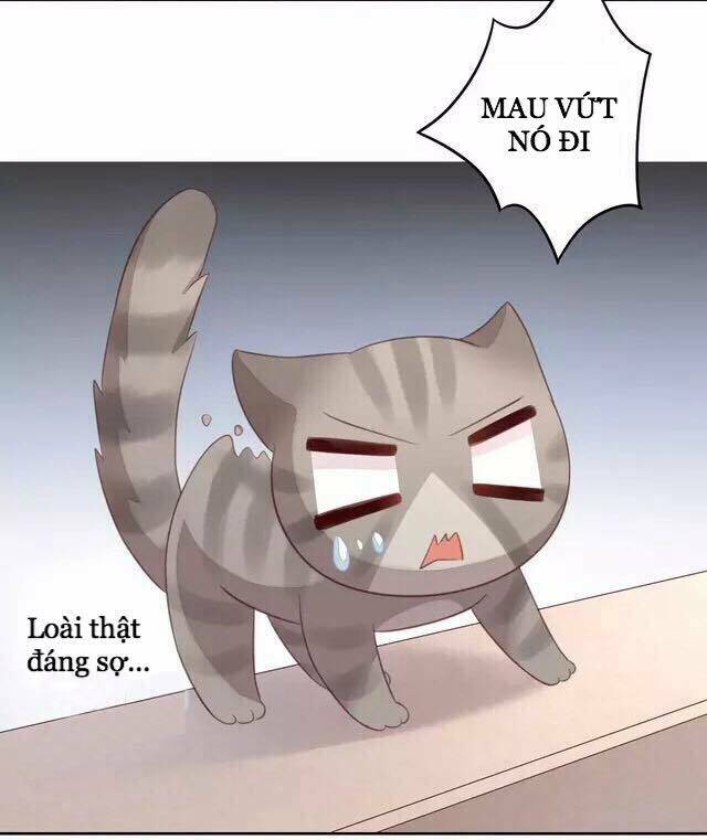 dưới móng vuốt mèo chapter 20 27