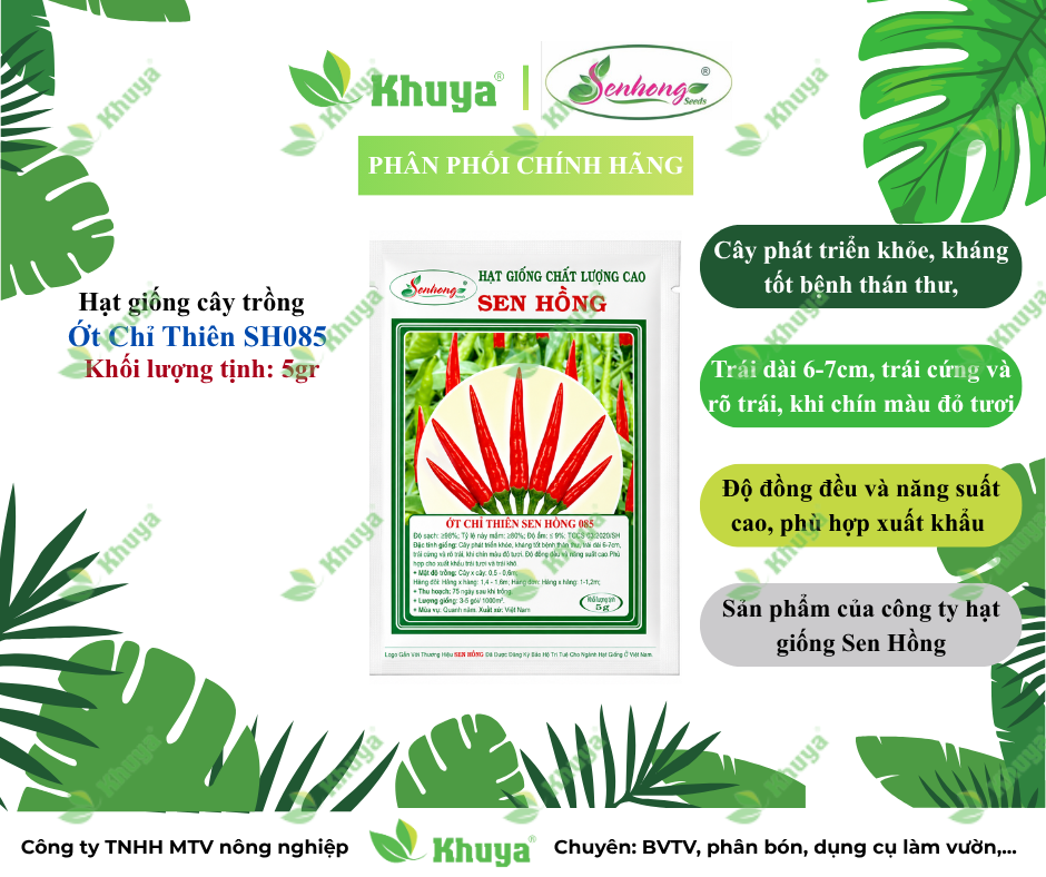 Hạt giồng Ớt Chỉ Thiên Sen Hồng SH085 (gói 5gr)