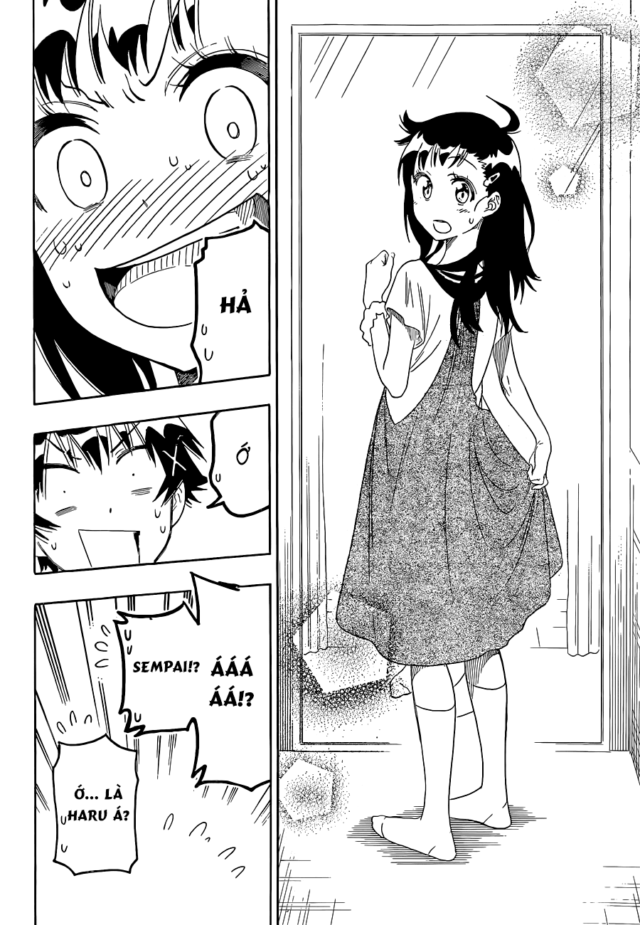 nisekoi - tình yêu giả tạo chapter 94 13