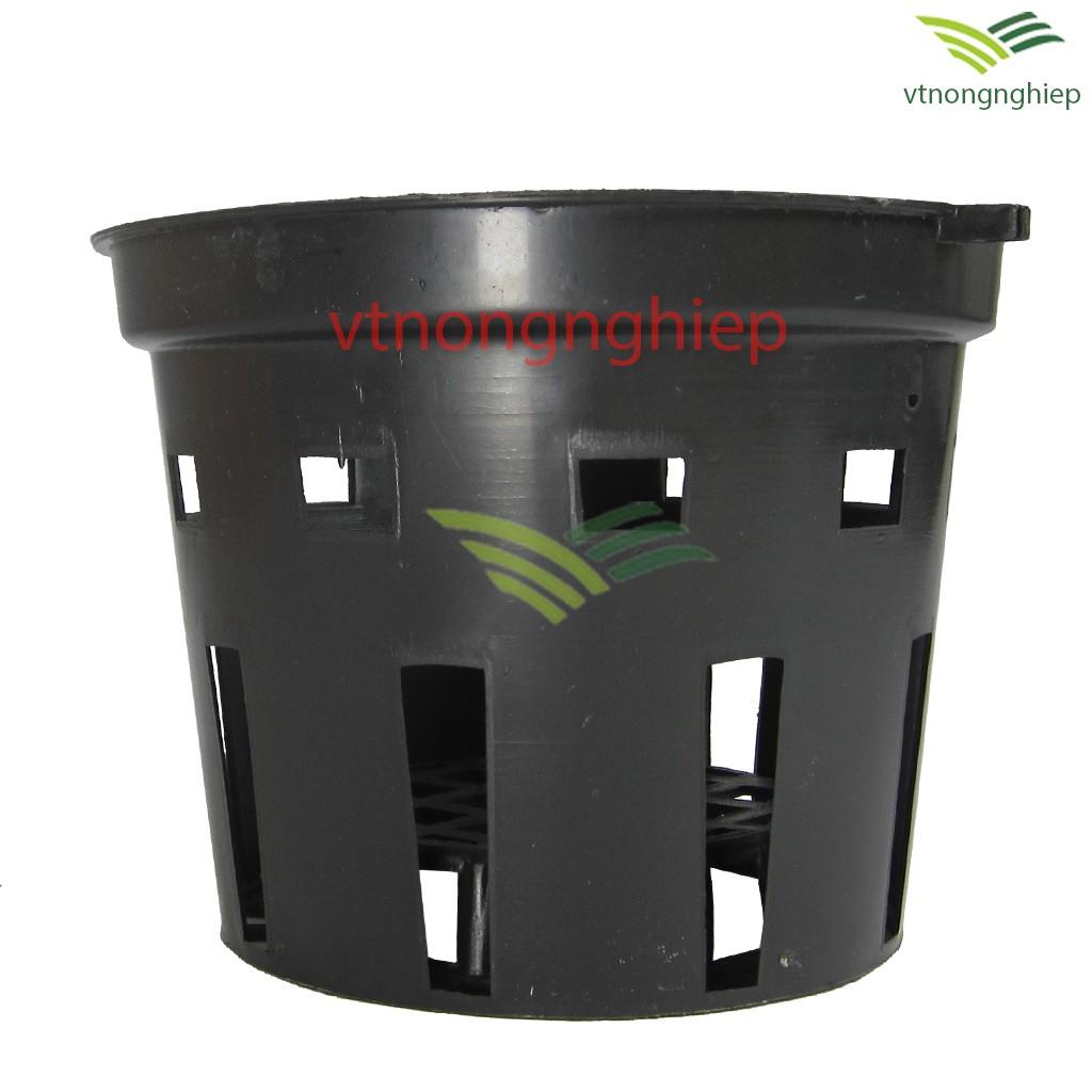 Chậu nhựa trồng lan phi 14-16 cm